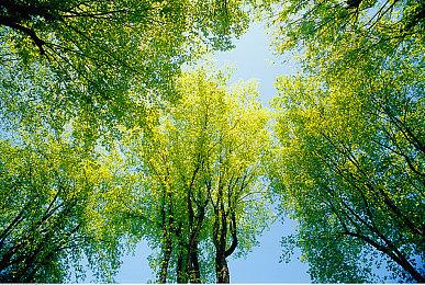 “类魂恶魔城”新作《BIOMORPH》公布实机演示预告